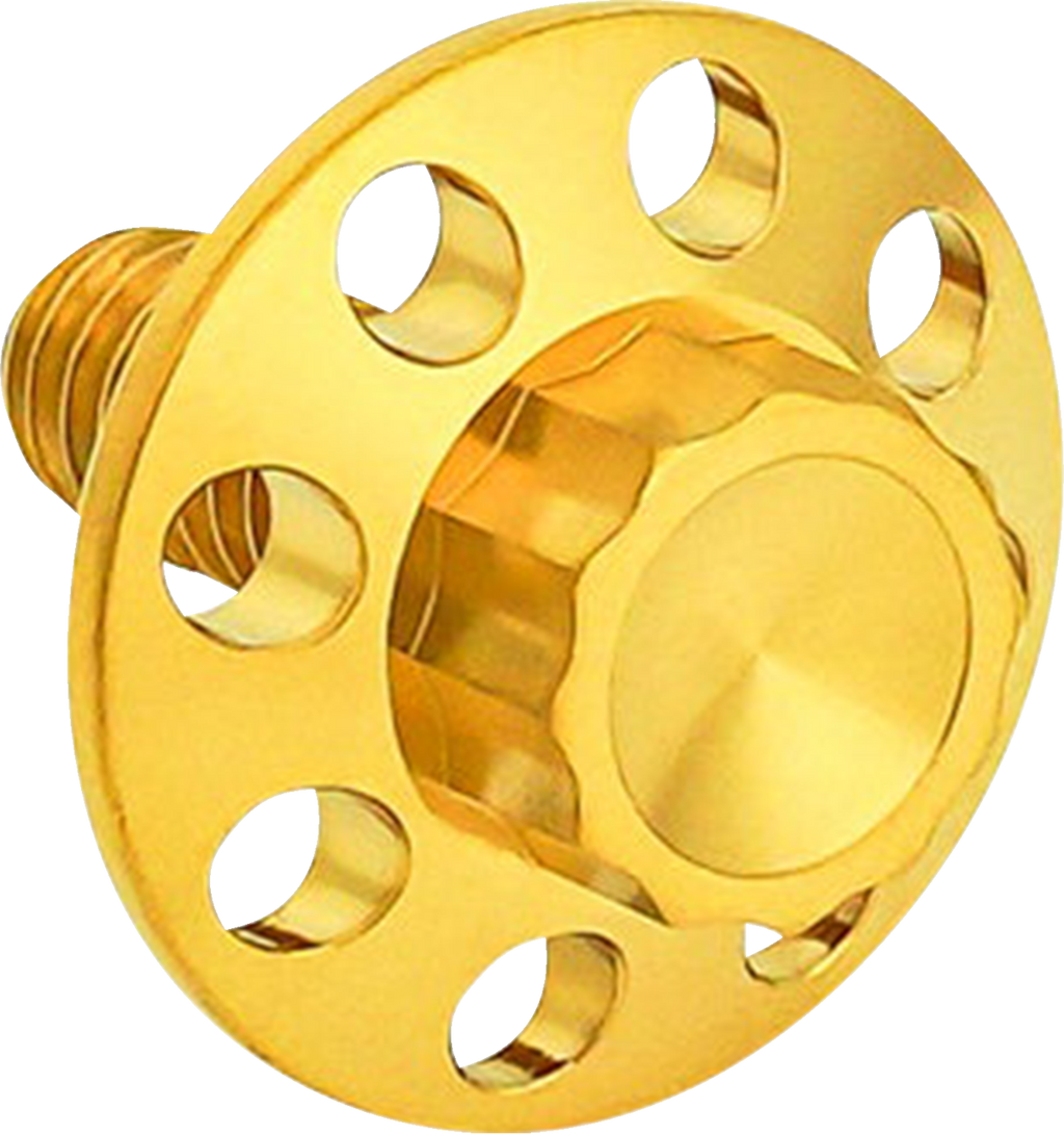 Titanium 12-Point Seat Bolt Kit - Gold - 1/4"-20