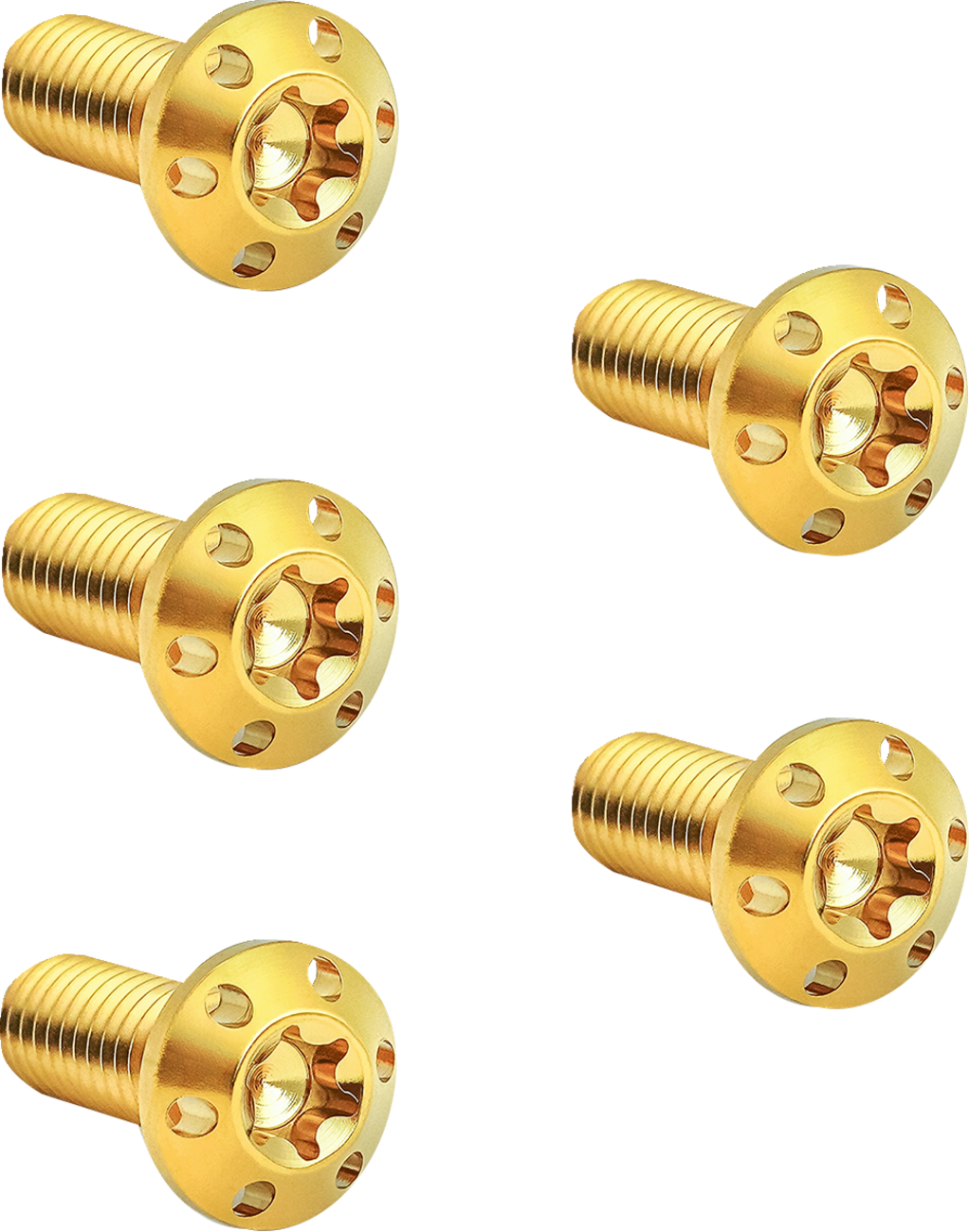 Bolt Kit - Holeshot/Brake Rotor/Front - Hub Mount - Gold - 5/16-18 x 7/8" - 5 Pack