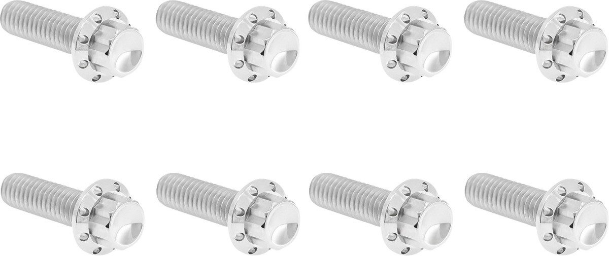Bolt Kit - Trap Door - Titanium - 12-Point - M8 - Polished