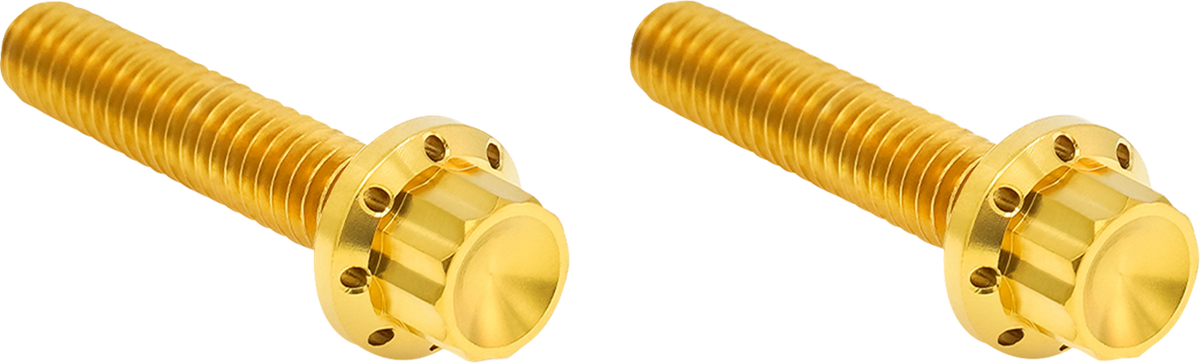 Bolt Kit - Hydraulic Clutch - Titanium - 12-Point - M8/Twin Cam - Gold