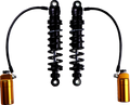 1310-2397