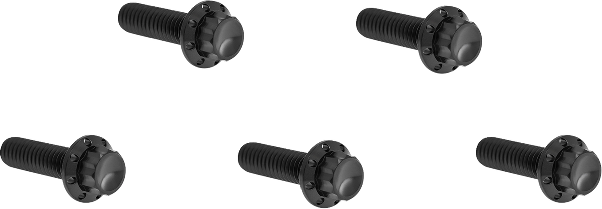 Bolt Kit - Derby Cover - 12-Point - Titanium - Black