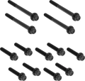 Bolt Kit - Primary Cover - Titanium - 12-Point - FLT - Black