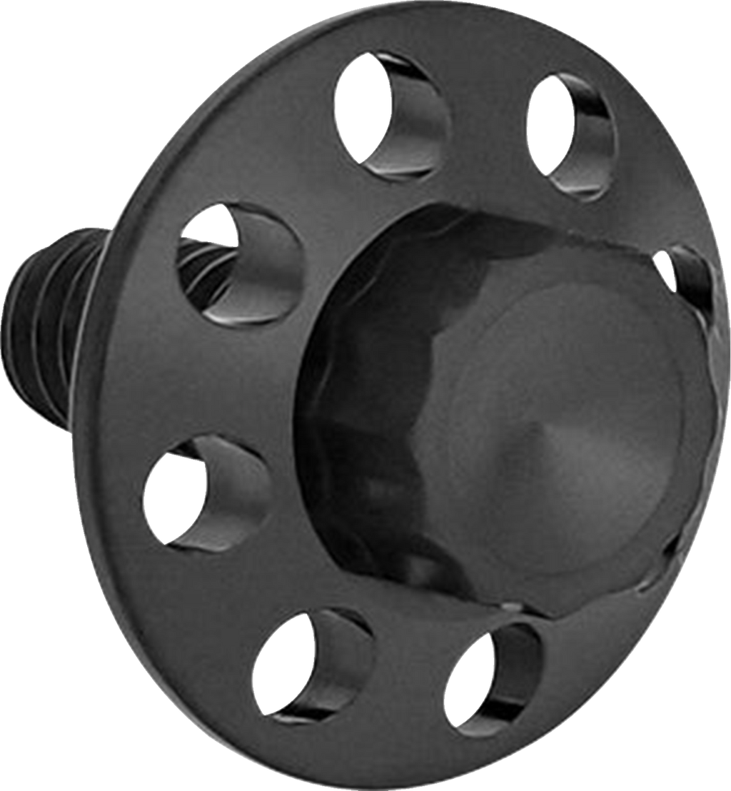 Titanium 12-Point Seat Bolt Kit - Black - 1/4"-20