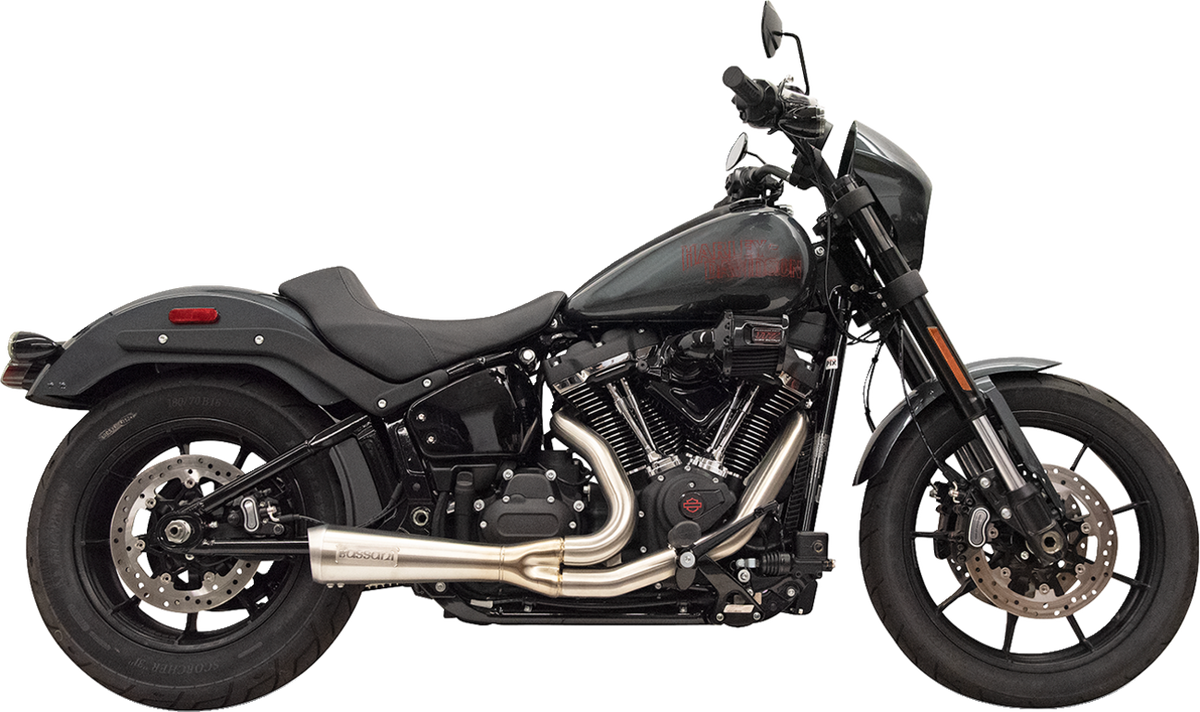 2-into-1 Ripper Exhaust System with Megaphone Muffler - Shor