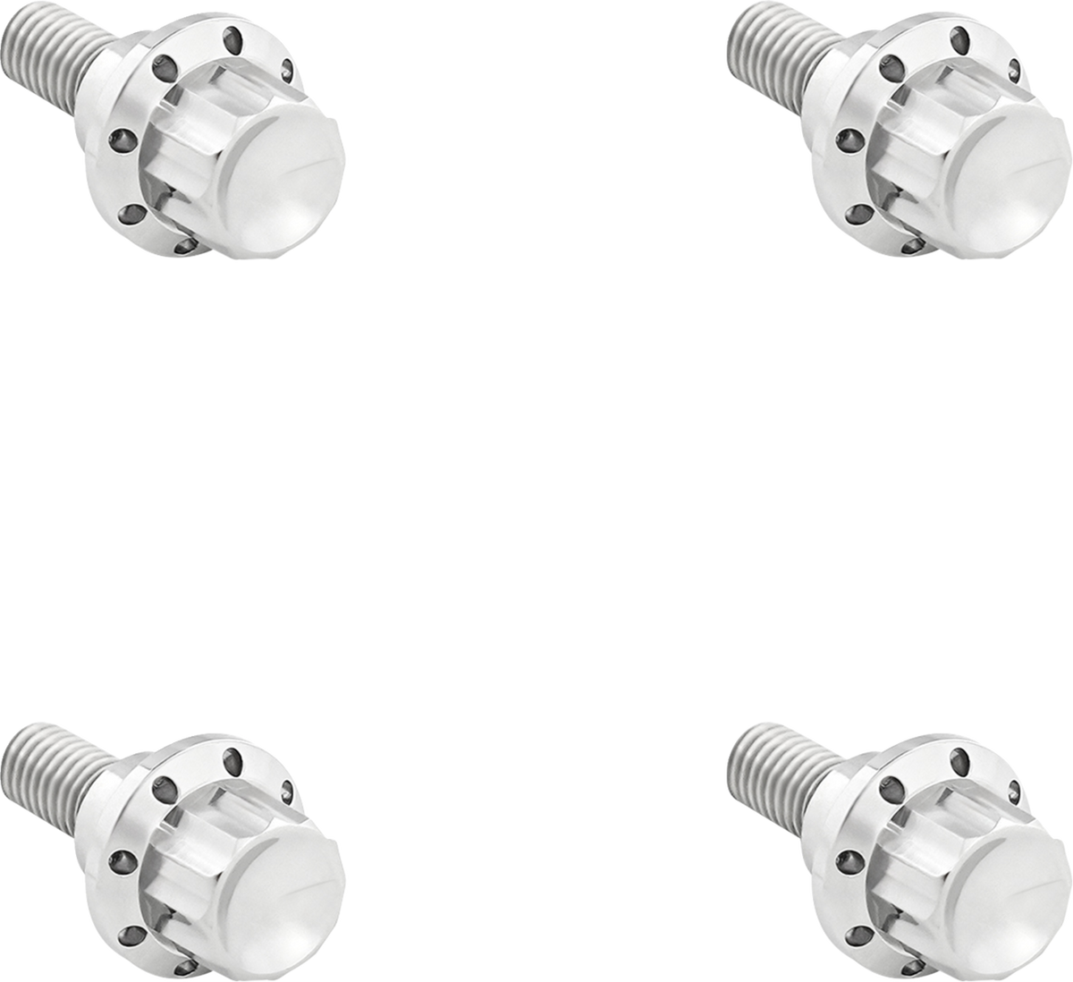 Bolt Kit - Windshield - 12-Point - Titanium - Silver