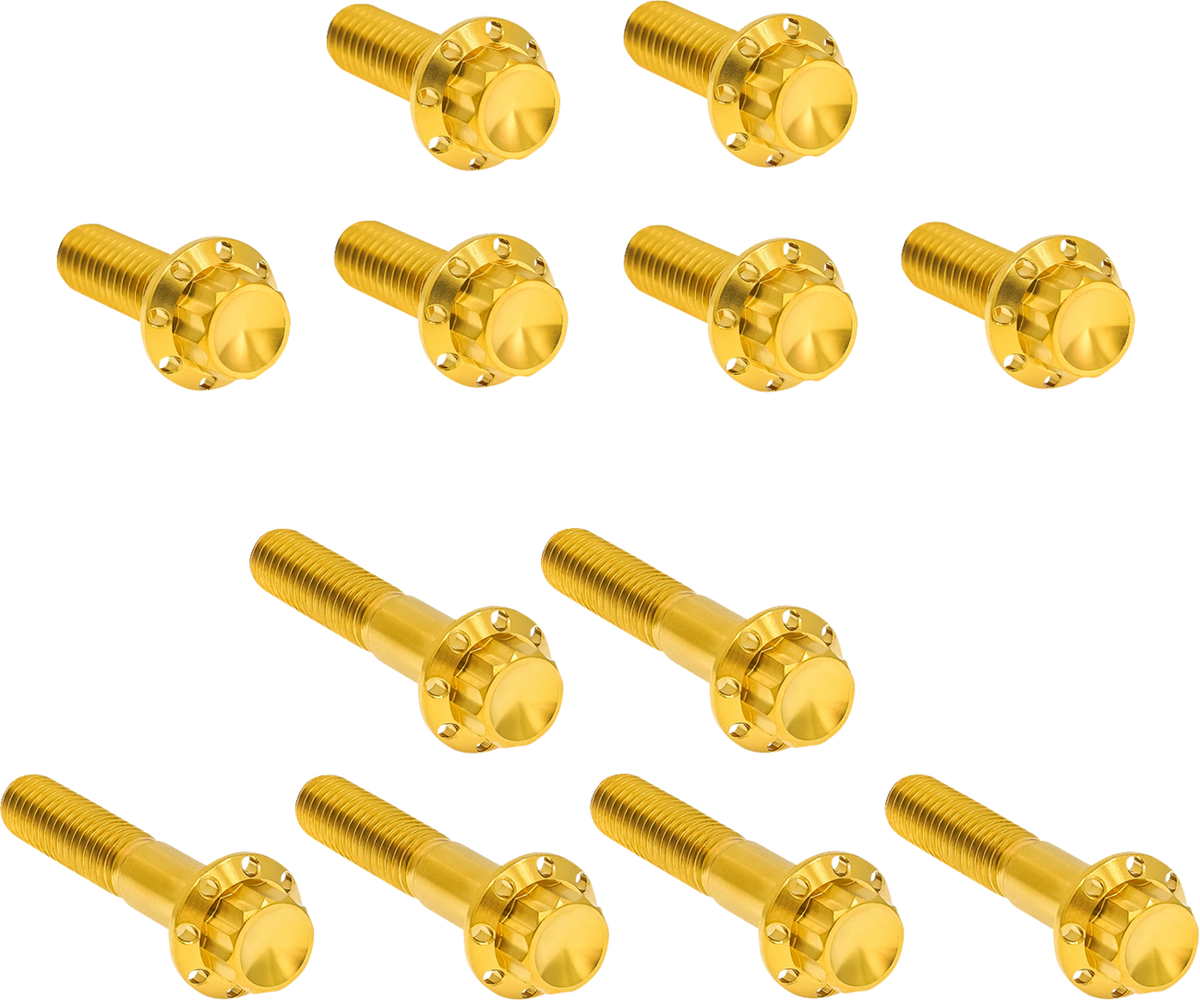 Bolt Kit - Rocker Box - 12-Point - Titanium - Gold