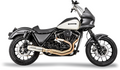 2-into-1 Exhaust System with Super Bike 4" Muffler - Stainle