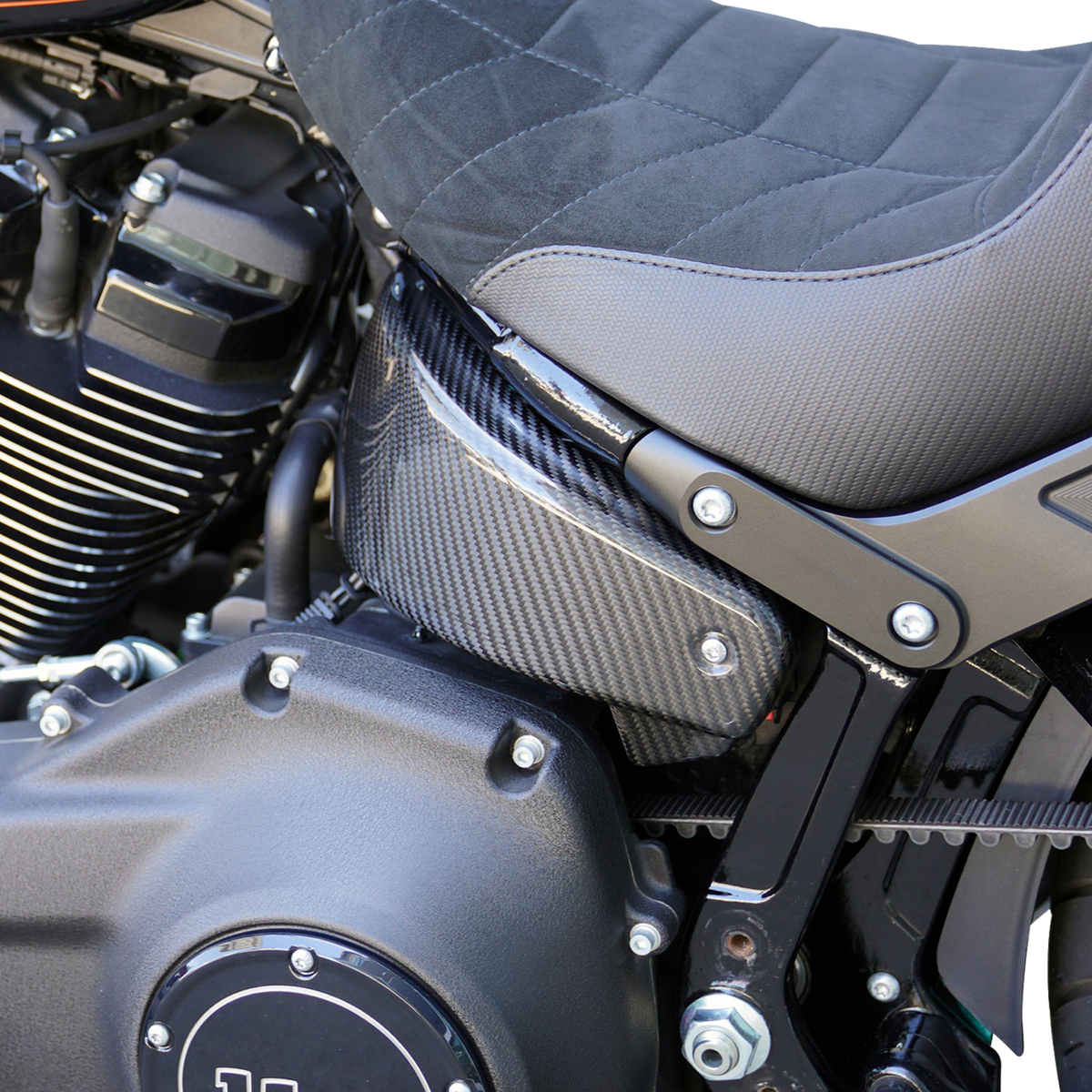 Side Covers - Carbon Fiber - HD Softail '18-'24