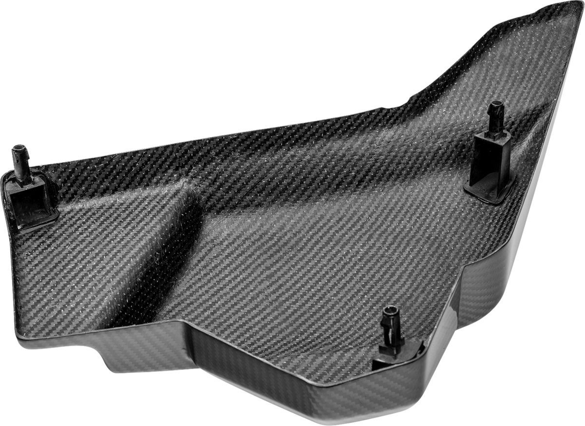 Side Cover - Left/Right - Carbon Fiber/Gloss - HD '23-'25