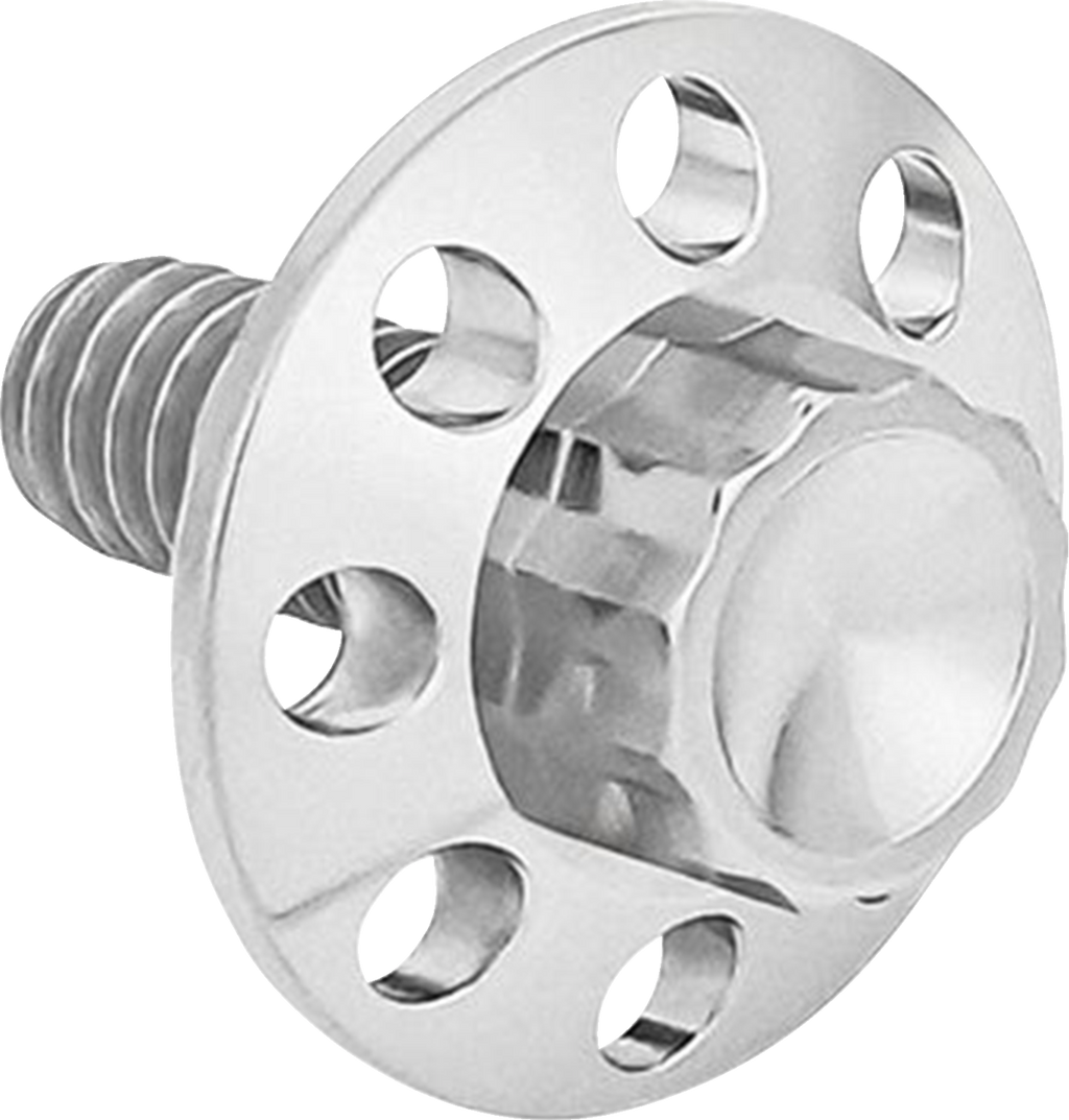 Titanium 12-Point Seat Bolt Kit - Polished - 1/4"-20
