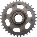Sprocket - Camshaft - Chain Drive - Big Twin