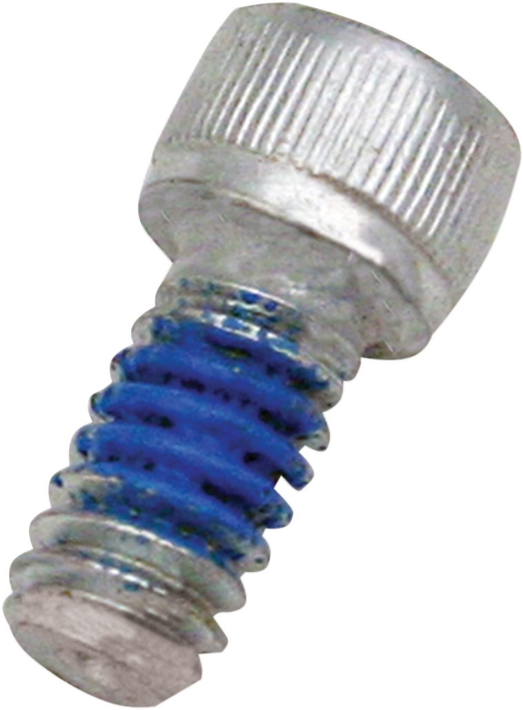 Replacement Air Cleaner Screw - Backplate - 1/4"-20 x 1/2"