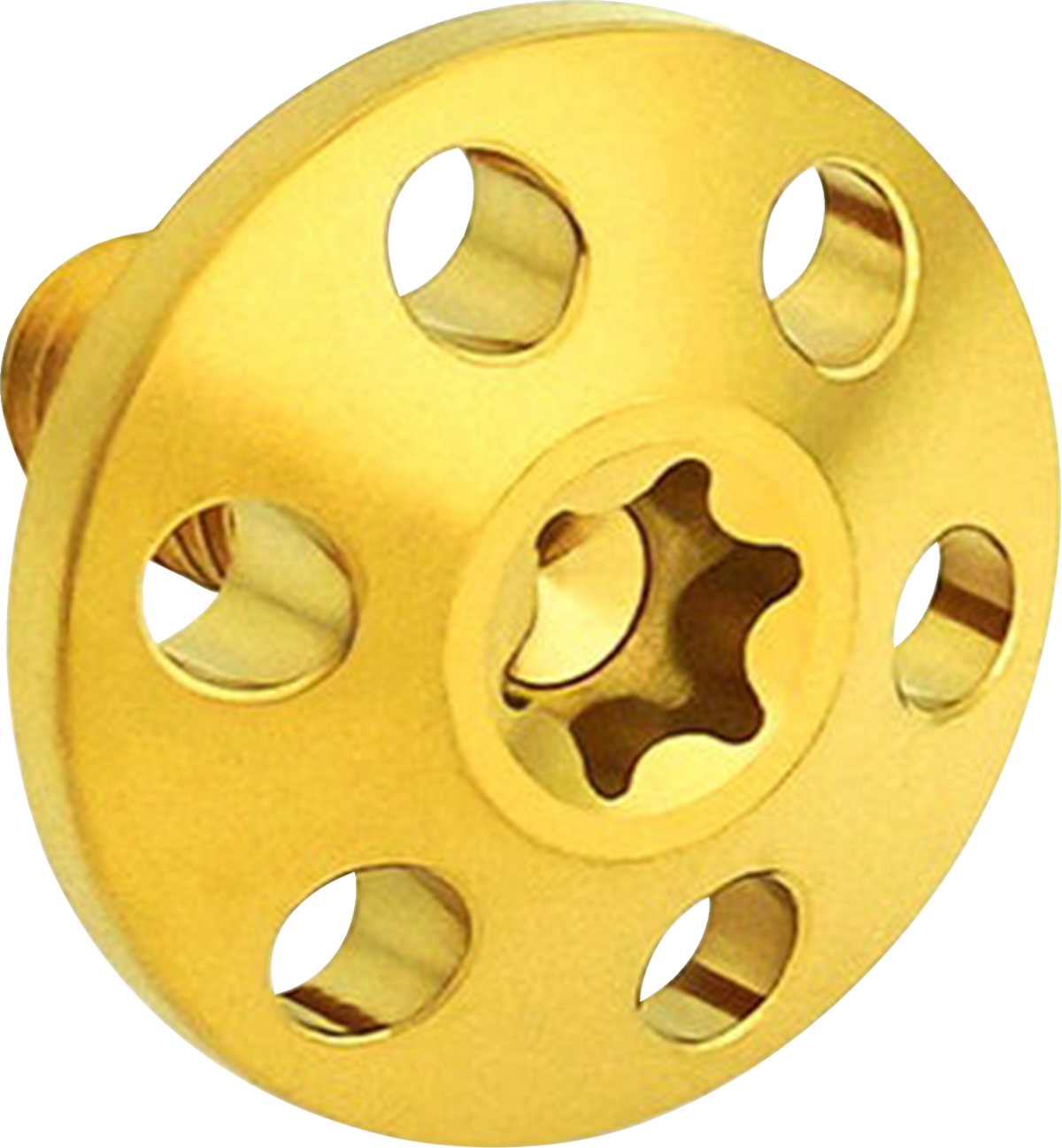 Titanium Holeshot Seat Bolts - Gold - 1/4"-20