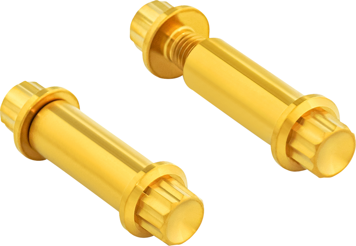 Bolt Kit - Footpeg - 12-Point - Titanium - Gold