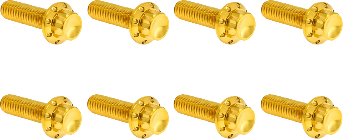Bolt Kit - Trap Door - Titanium - 12-Point - M8 - Gold