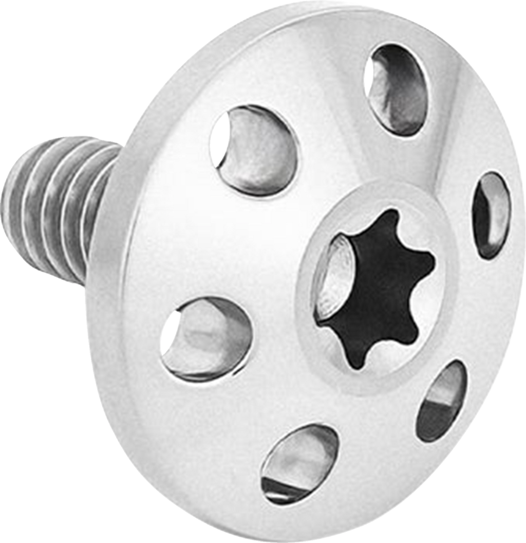 Titanium Holeshot Seat Bolts - Polished - 1/4"-20