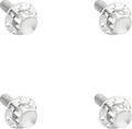 Bolt Kit - Windshield - Titanium - 12-Point - Polished