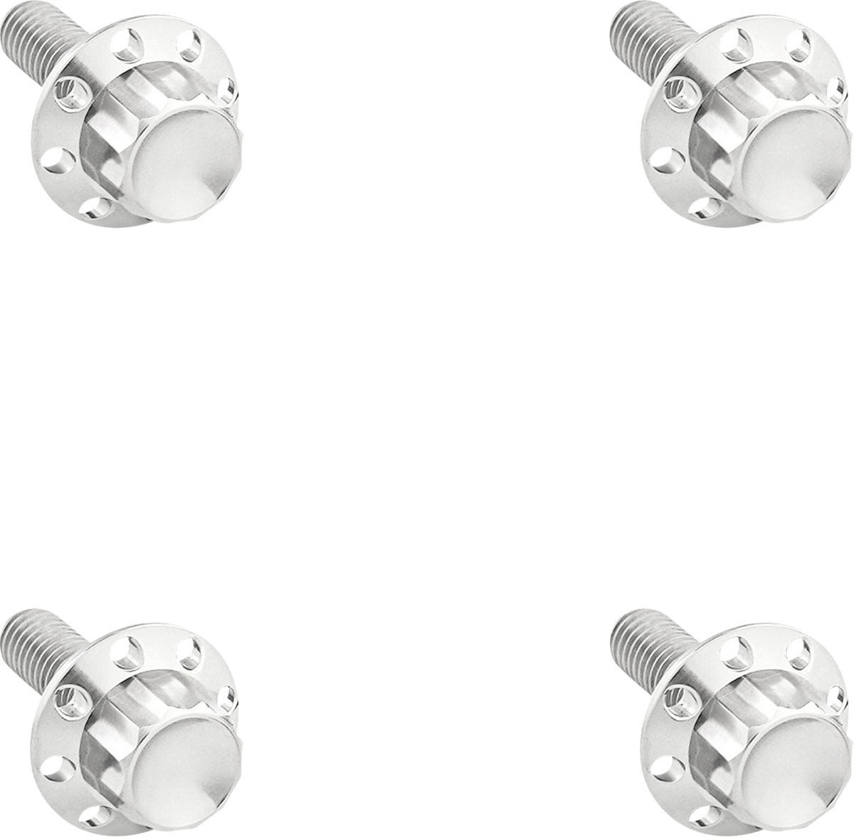 Bolt Kit - Windshield - Titanium - 12-Point - Polished