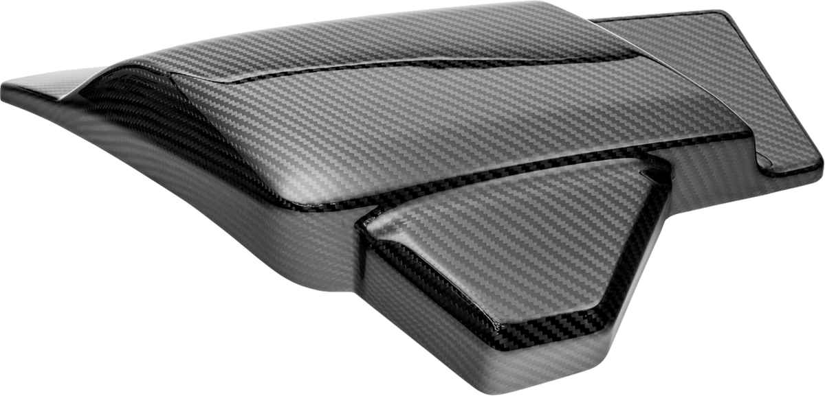Side Cover - Left/Right - Carbon Fiber/Gloss - HD '23-'25