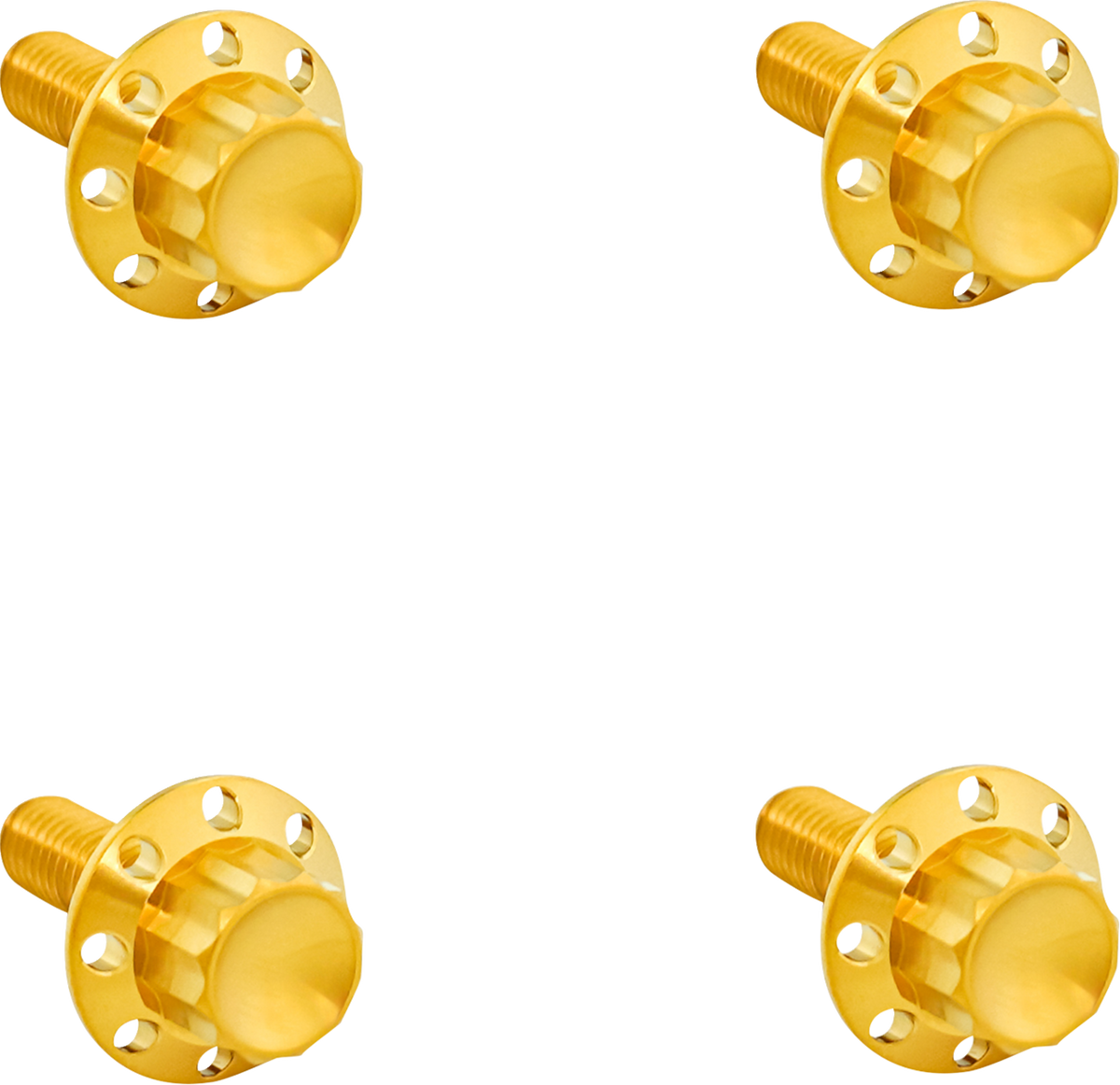Bolt Kit - Windshield - Titanium - 12-Point - Gold