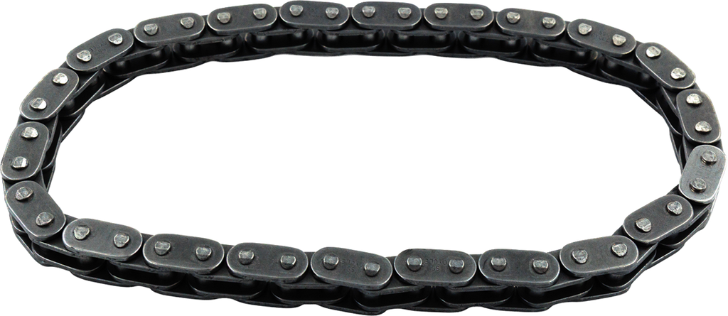 Cam Chain - Primary (Outer) - 22 Links - M8 | Twin Cam | Dyna '06