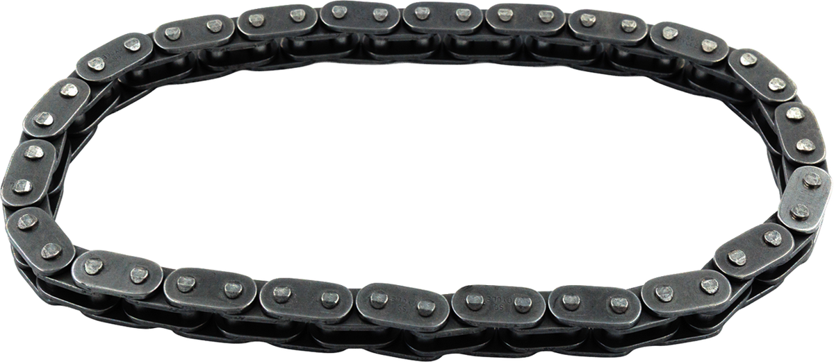 Cam Chain - Primary (Outer) - 22 Links - M8 | Twin Cam | Dyna '06