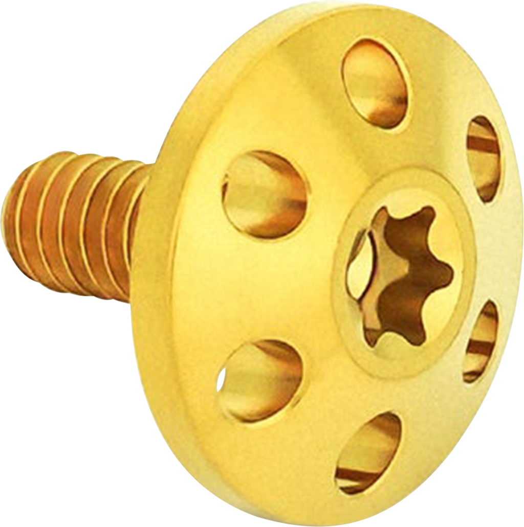Titanium Holeshot Seat Bolts - Gold - 1/4"-20