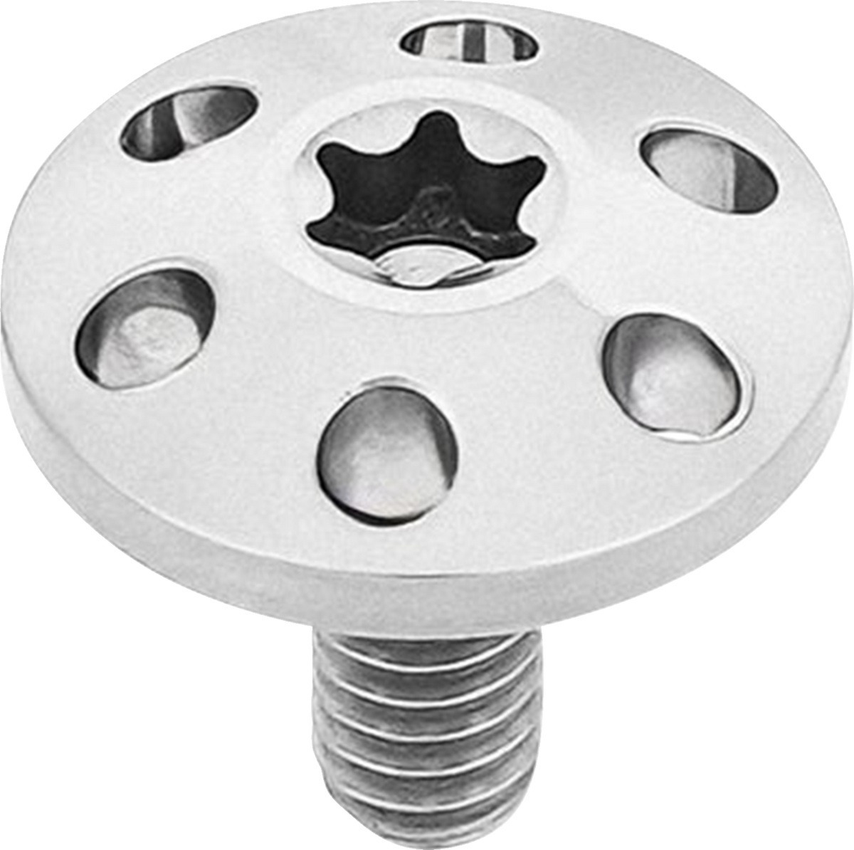 Titanium Holeshot Seat Bolts - Polished - 1/4"-20