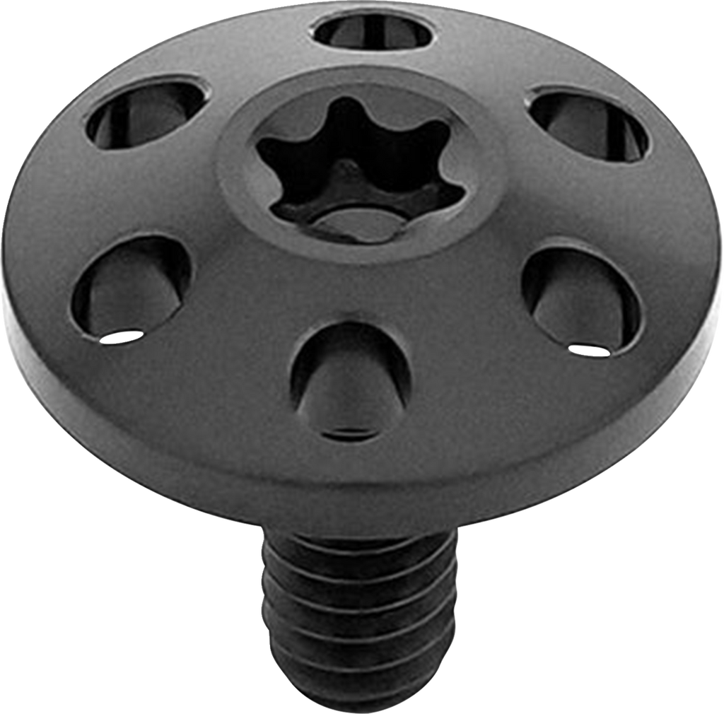 Titanium Holeshot Seat Bolts - Black - 1/4"-20