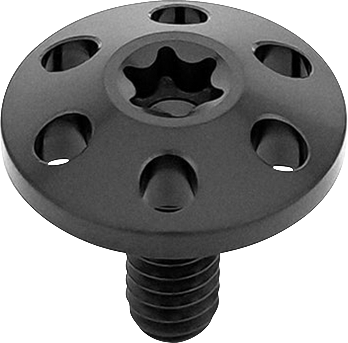 Titanium Holeshot Seat Bolts - Black - 1/4"-20