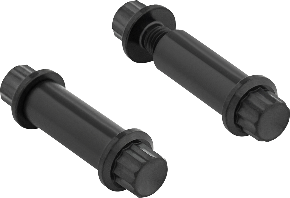 Bolt Kit - Footpeg - 12-Point - Titanium - Black