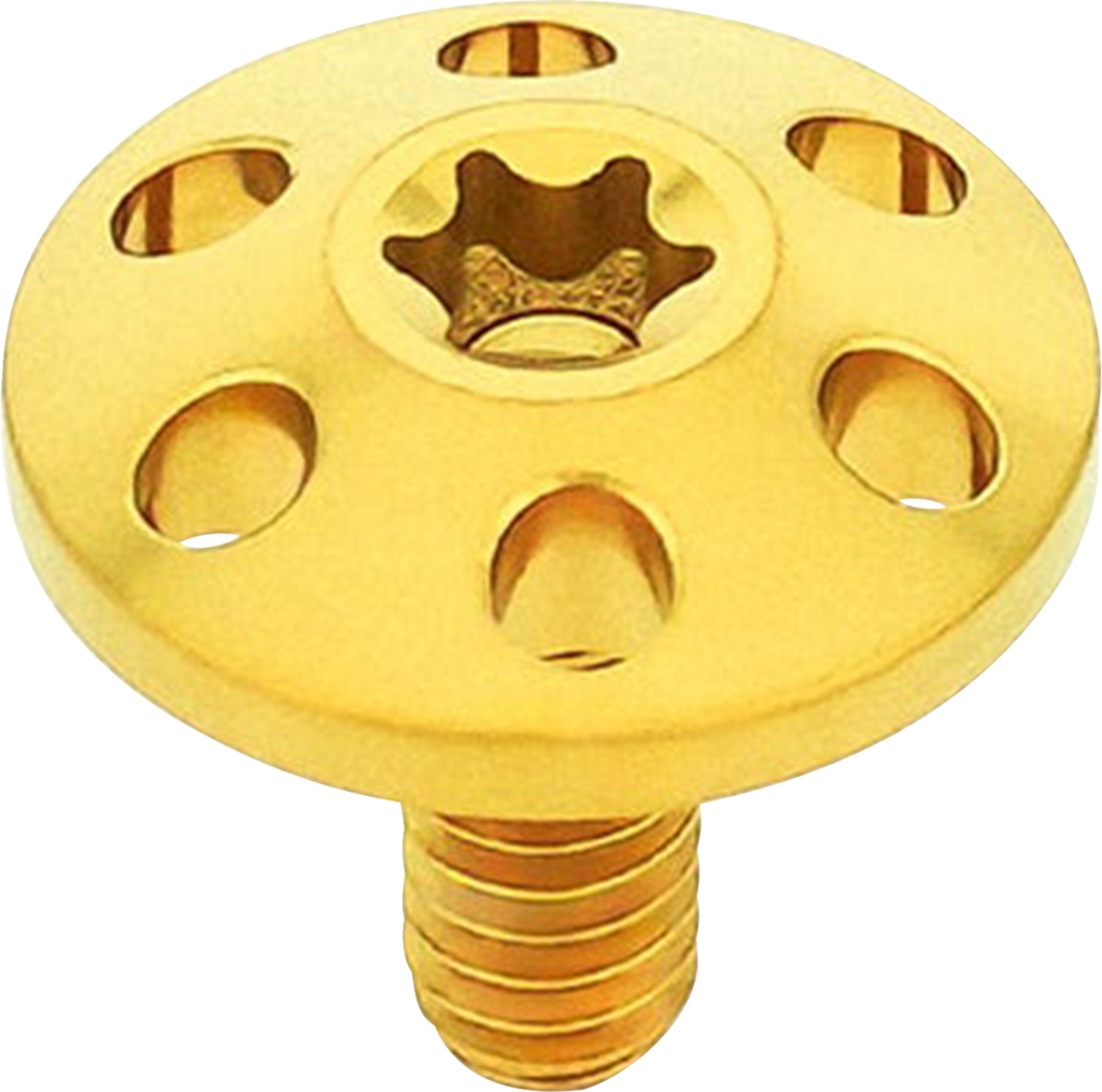 Titanium Holeshot Seat Bolts - Gold - 1/4"-20
