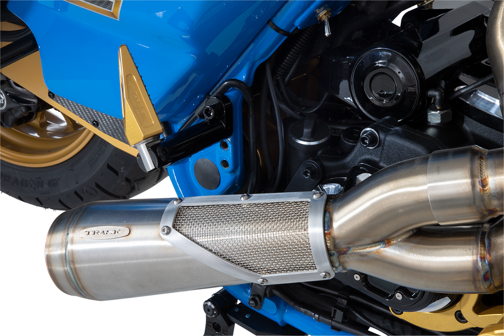 2-into-1 Big Sexy Exhaust System - Brushed Stainless Steel