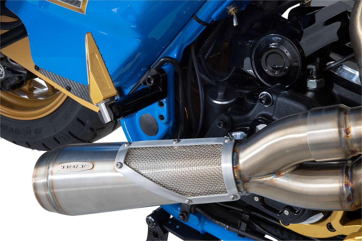 2-into-1 Big Sexy Exhaust System - Brushed Stainless Steel