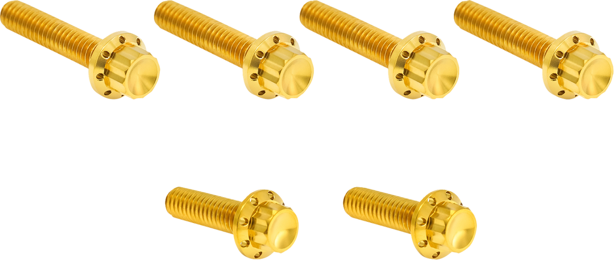 Bolt Kit - Cable Clutch - Titanium - 12-Point - M8/Twin Cam - Gold