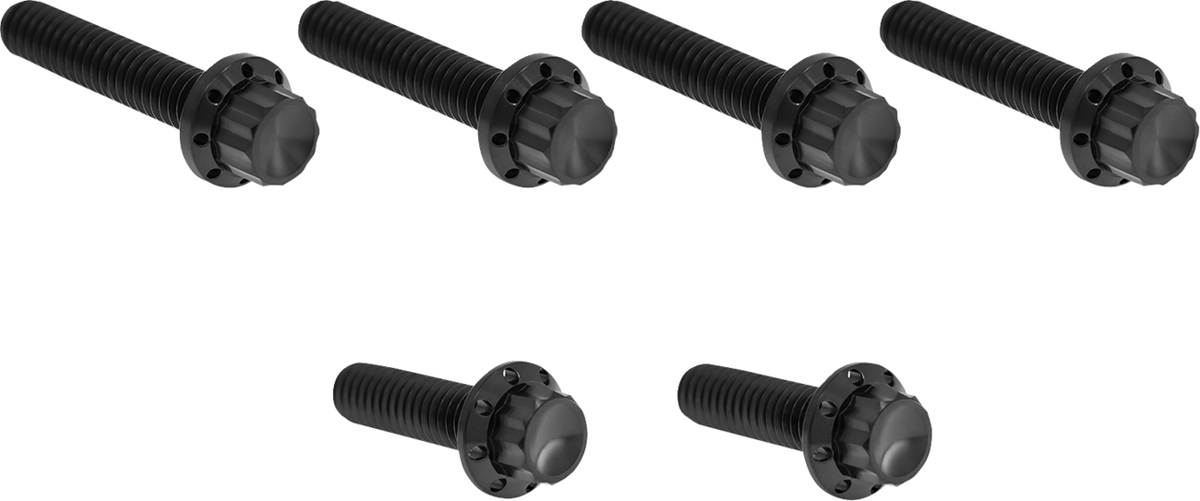 Bolt Kit - Cable Clutch - Titanium - 12-Point - M8/Twin Cam - Black