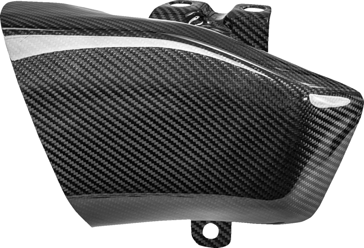 Air Scoops - Carbon Fiber/Gloss - HD Trike/Touring