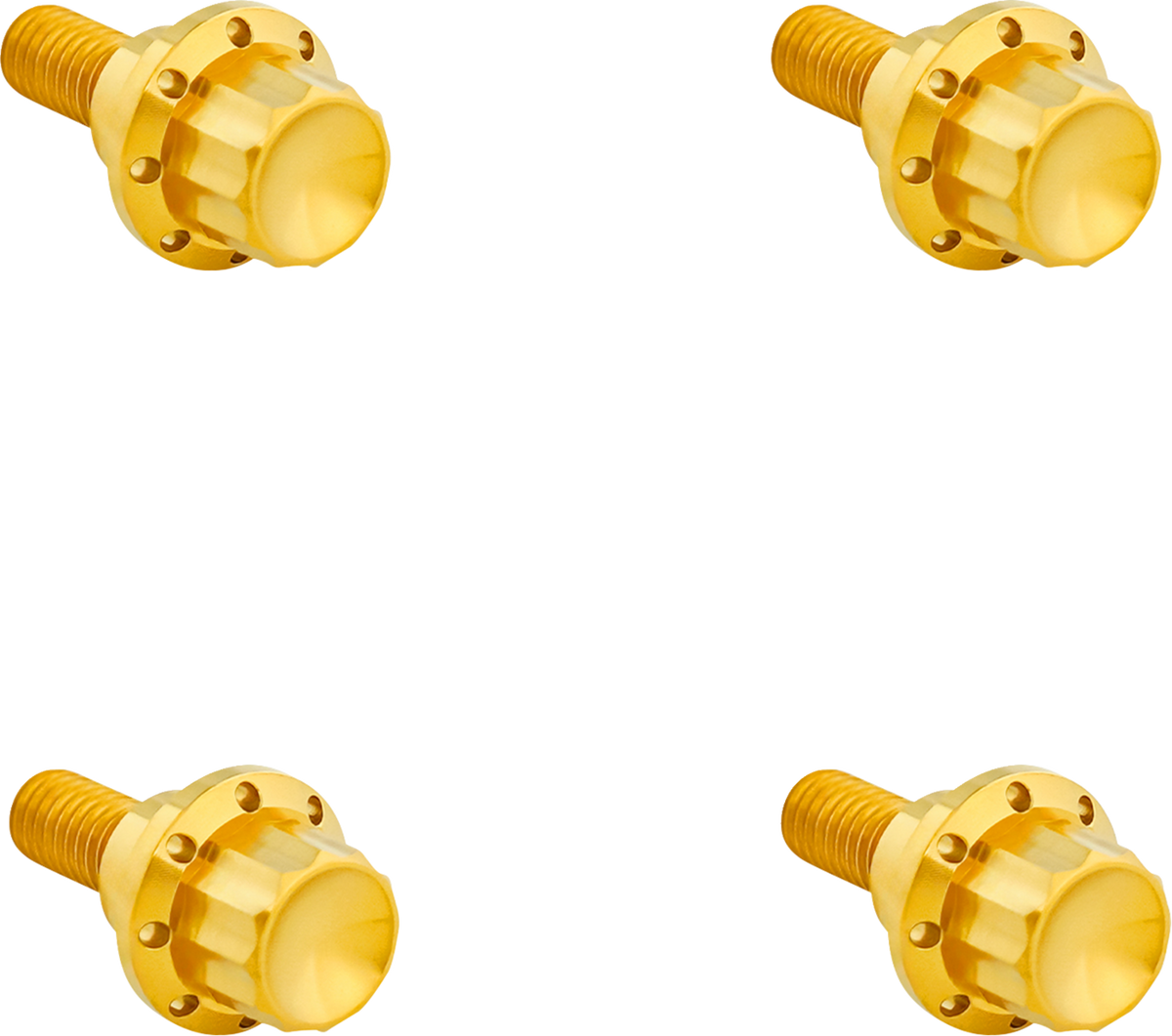 Bolt Kit - Windshield - 12-Point - Titanium - Gold