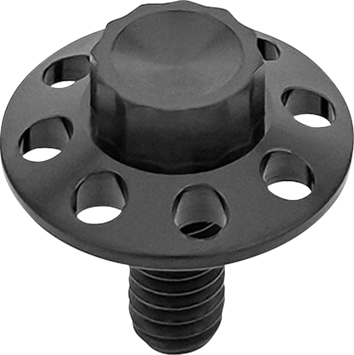 Titanium 12-Point Seat Bolt Kit - Black - 1/4"-20