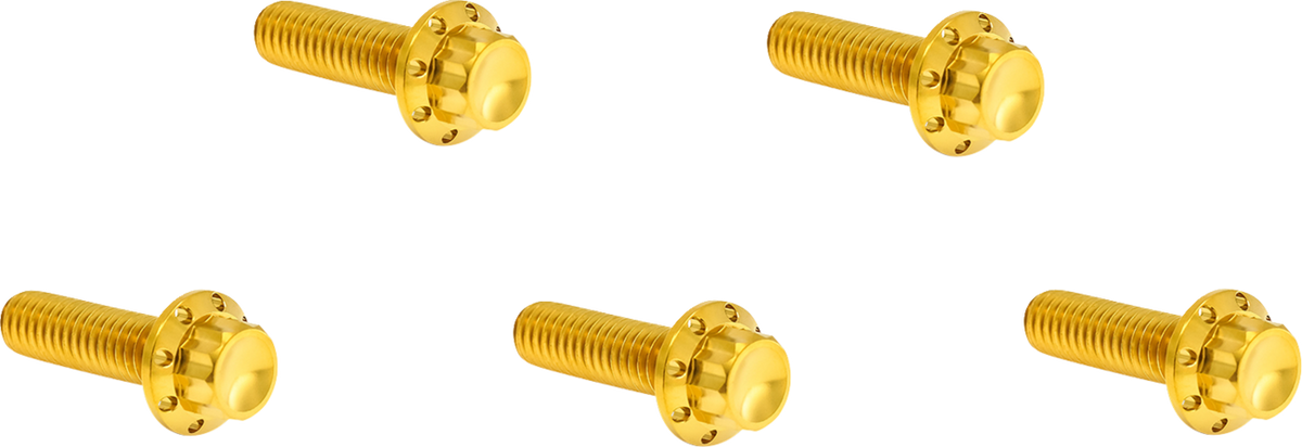 Bolt Kit - Derby Cover - 12-Point - Titanium - Gold