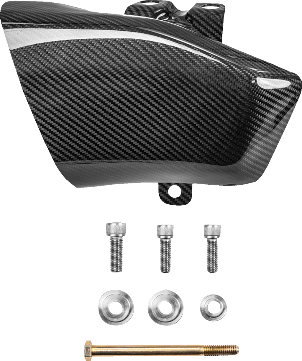 Air Scoops - Carbon Fiber/Gloss - HD Trike/Touring