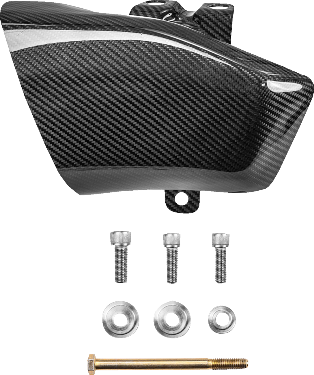 Air Scoops - Carbon Fiber/Gloss - HD Trike/Touring