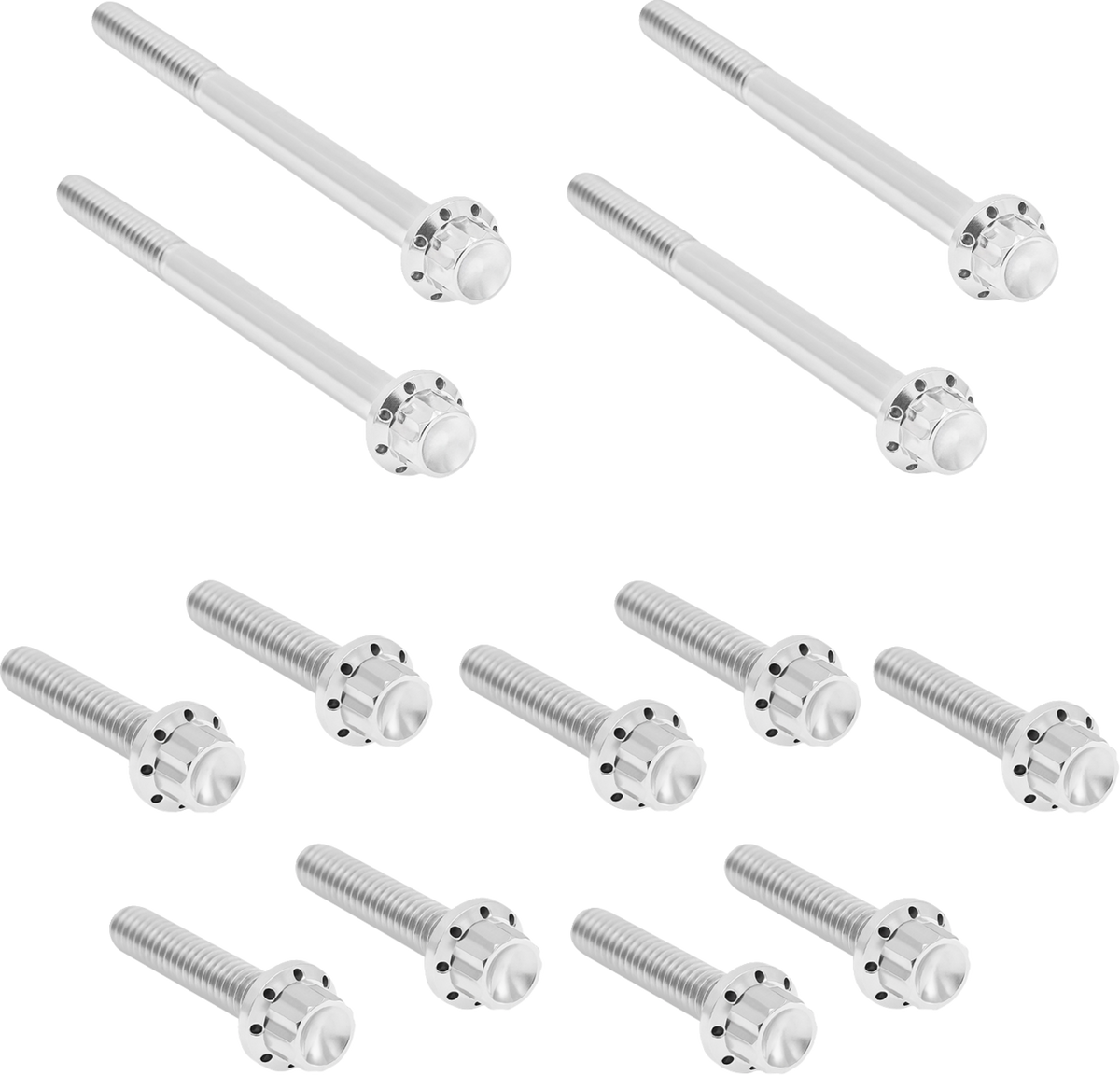 Bolt Kit - Primary Cover - Titanium - 12-Point - Softail - Polished