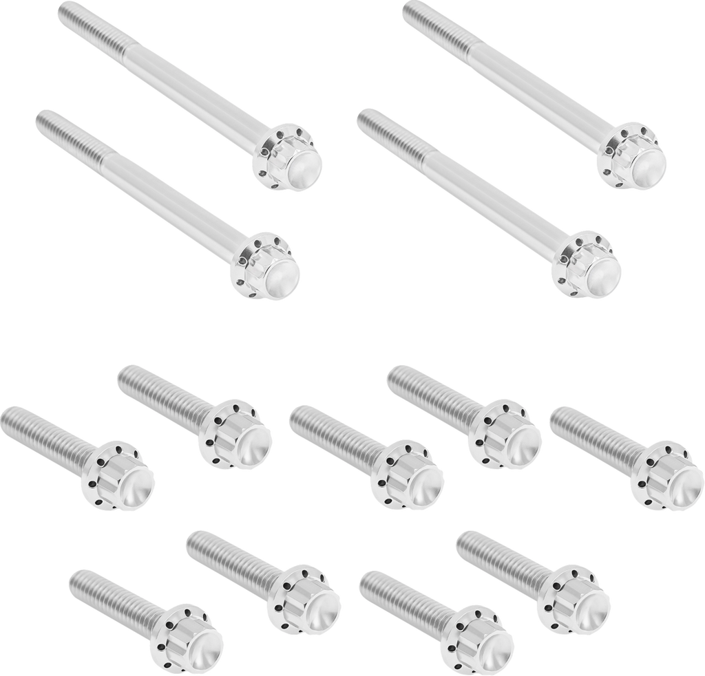 Bolt Kit - Primary Cover - Titanium - 12-Point - FLT - Polished
