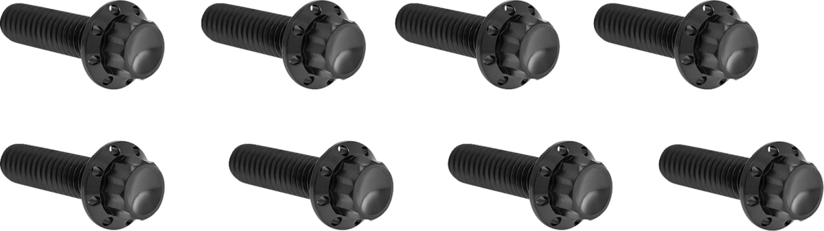 Arlen Ness 2401-1738 Bolt Kit - Lifter Block - 12-Point - Titanium - Black