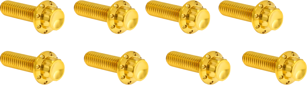 Arlen Ness 2401-1739 Bolt Kit - Lifter Block - 12-Point - Titanium - Gold