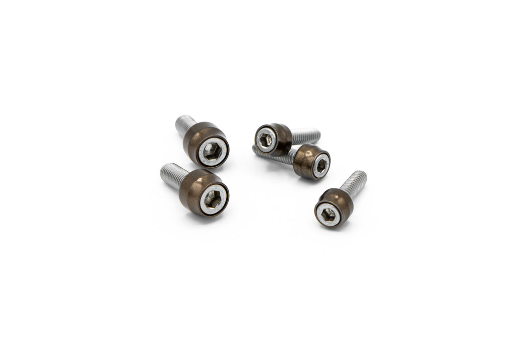 Santoro Fabworx Chacho's Bolt Kit – Twin Cam Engine/Transmission/Primary